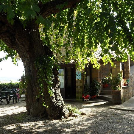 Mola Solis Civitella d'Agliano Exterior photo