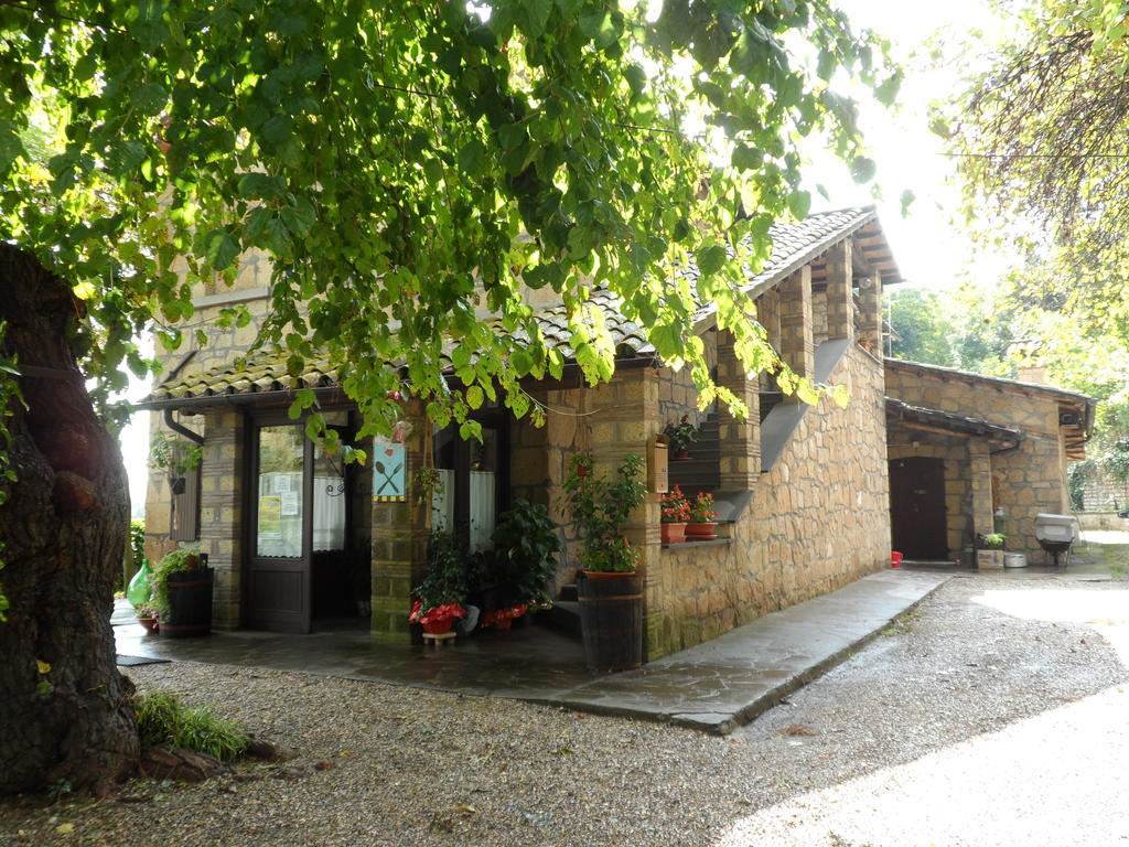 Mola Solis Civitella d'Agliano Exterior photo