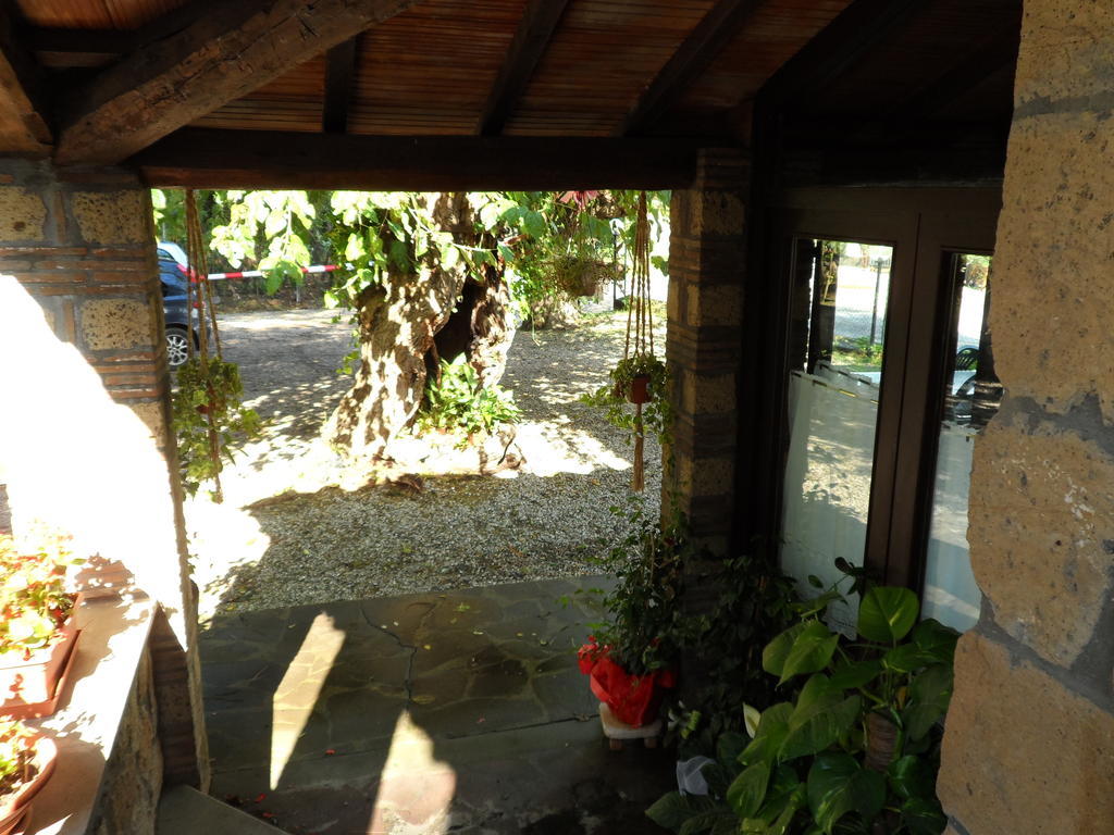 Mola Solis Civitella d'Agliano Exterior photo