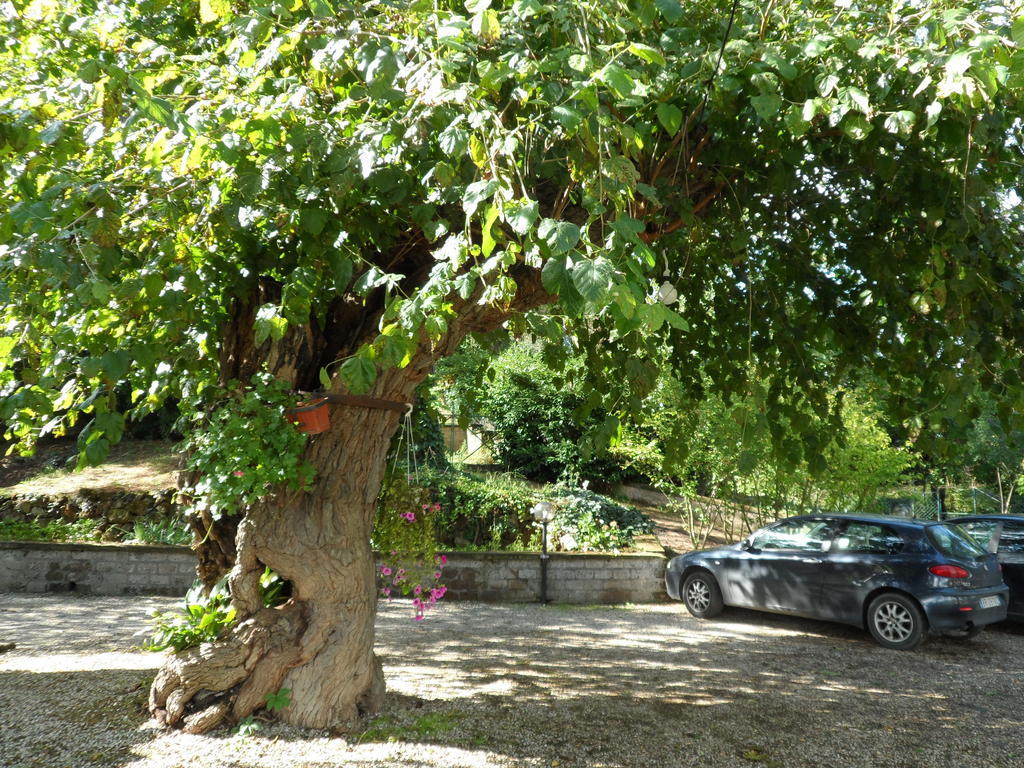 Mola Solis Civitella d'Agliano Exterior photo