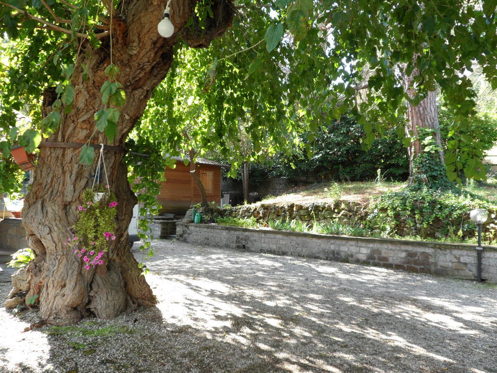 Mola Solis Civitella d'Agliano Exterior photo